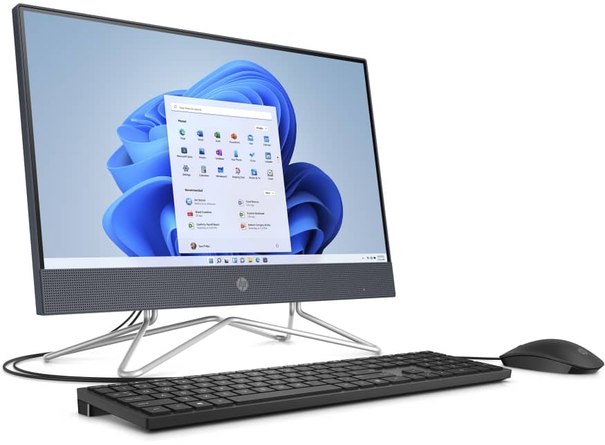 gallery-5 IMG 20250308 WA0051